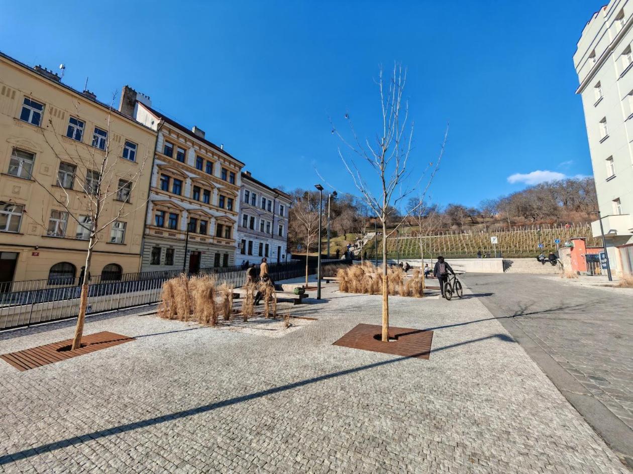 Apartmán Zizkov -004-